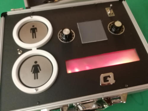 Q. QUANTUM LASER RADIONICS IDF